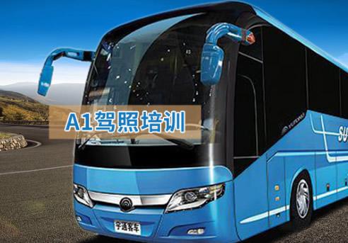 A1駕照培訓