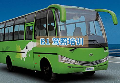 B1駕照培訓